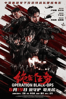 八哥电影网_《绝密任务》电影海报在线看